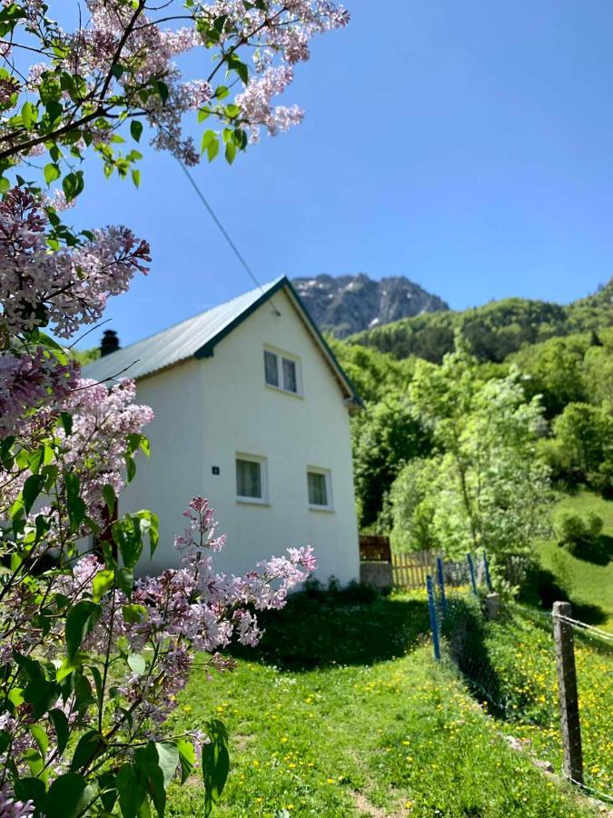Maglic Villa Plužine Buitenkant foto