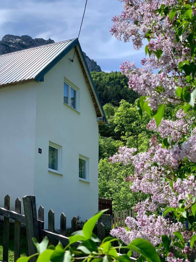 Maglic Villa Plužine Buitenkant foto