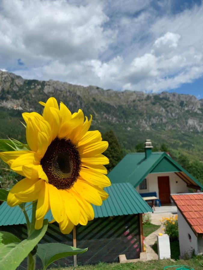 Maglic Villa Plužine Buitenkant foto